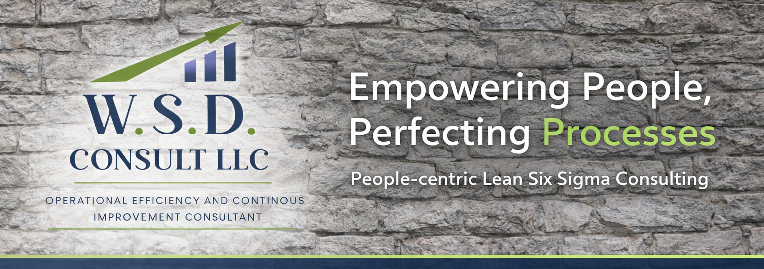 WSD Consult Signature Banner